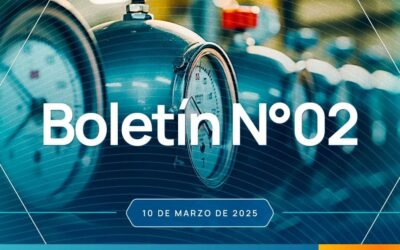 BOLETÍN REGULATORIO No. 02 (10/03/2025)