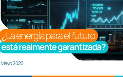 Sobre la subasta de cargo por confiabilidad…más dudas que certezas.