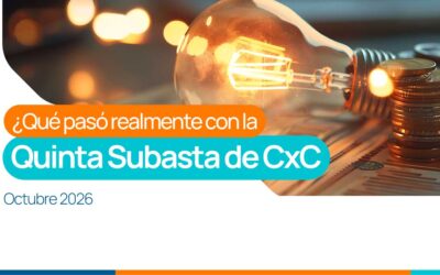 Boletín Quinta subasta de CxC 29-30